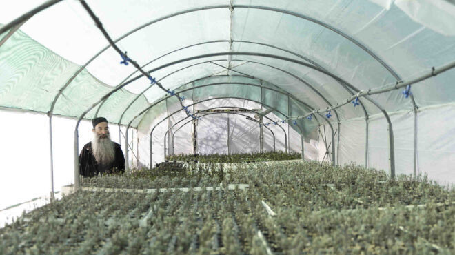 17-προϊόντα-από-το-άγιον-όρος-που-αξίζει-563586013