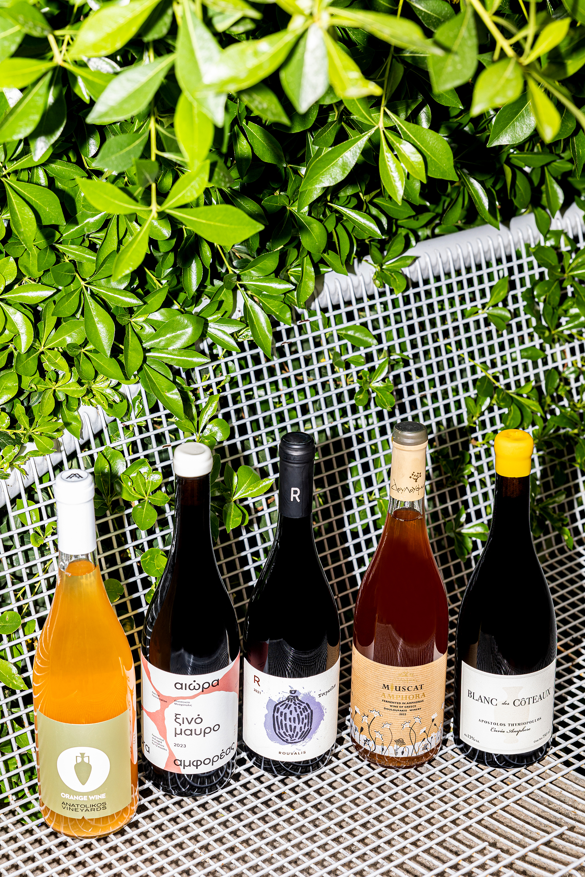 Γιατί κάποιοι παραγωγοί προτιμούν τους αμφορείς από τα βαρέλια;-1