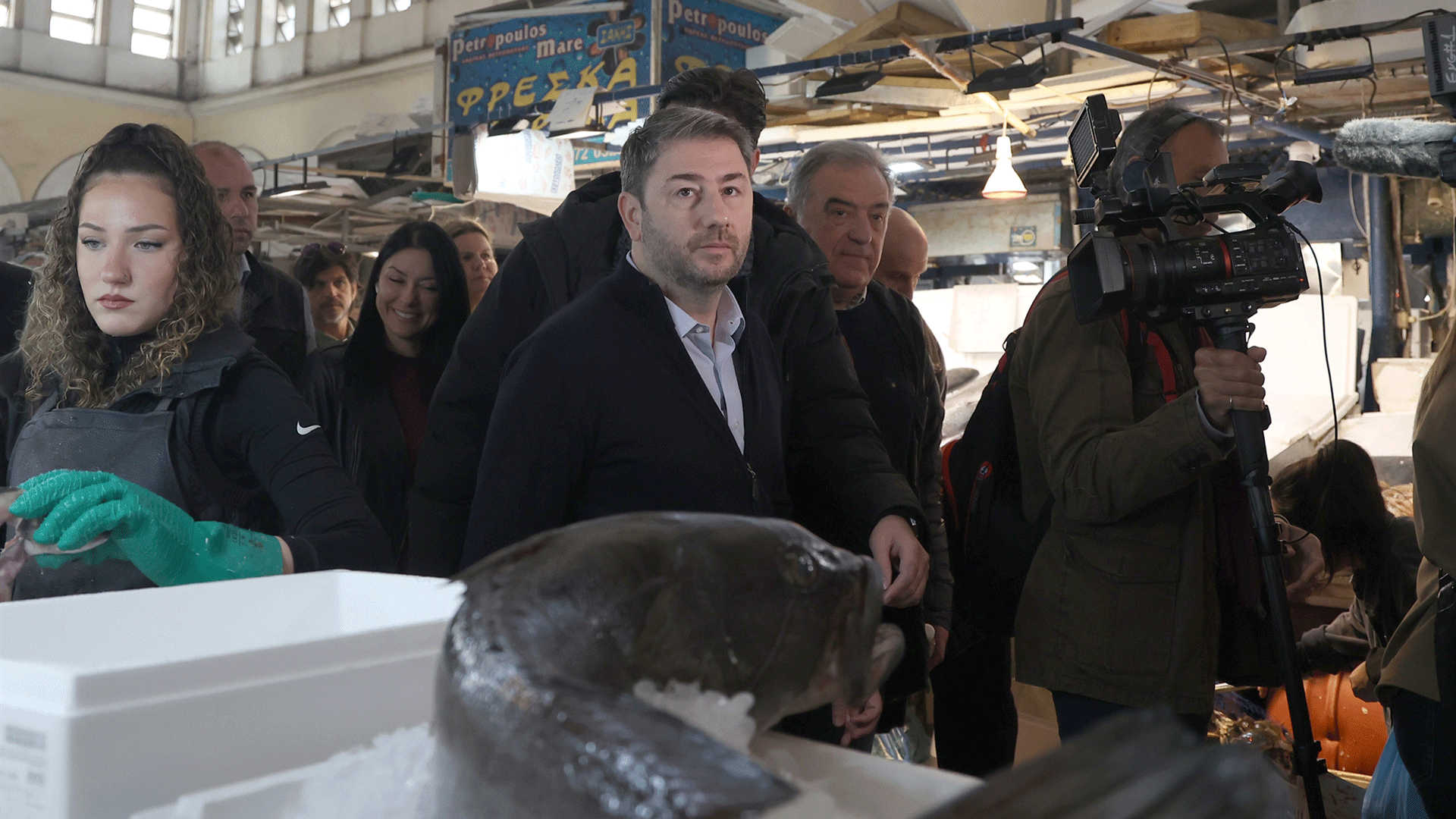 θεωρείο-τα-γκάλοπ-του-οβελία-563572642