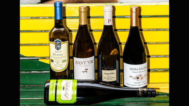 γιατί-τα-βιοδυναμικά-κρασιά-είναι-τόσ-563576704