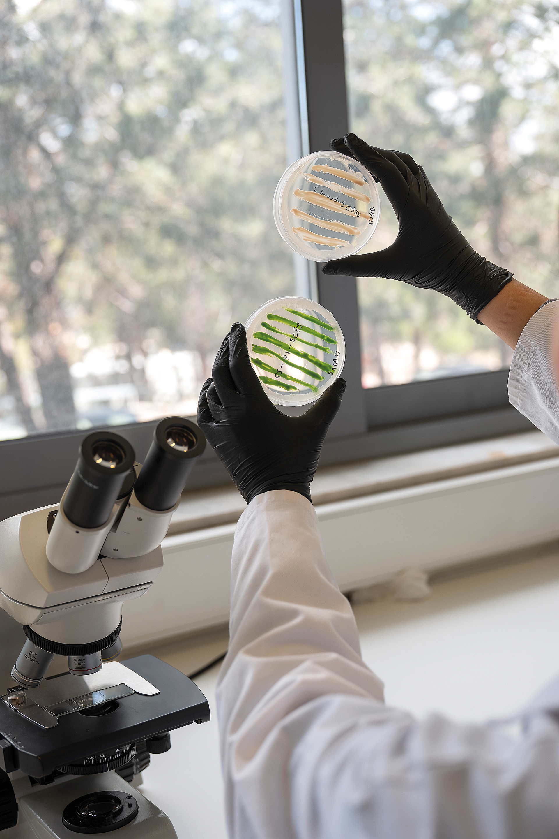 Μπορούν τα φύκια να σώσουν τον κόσμο;-1