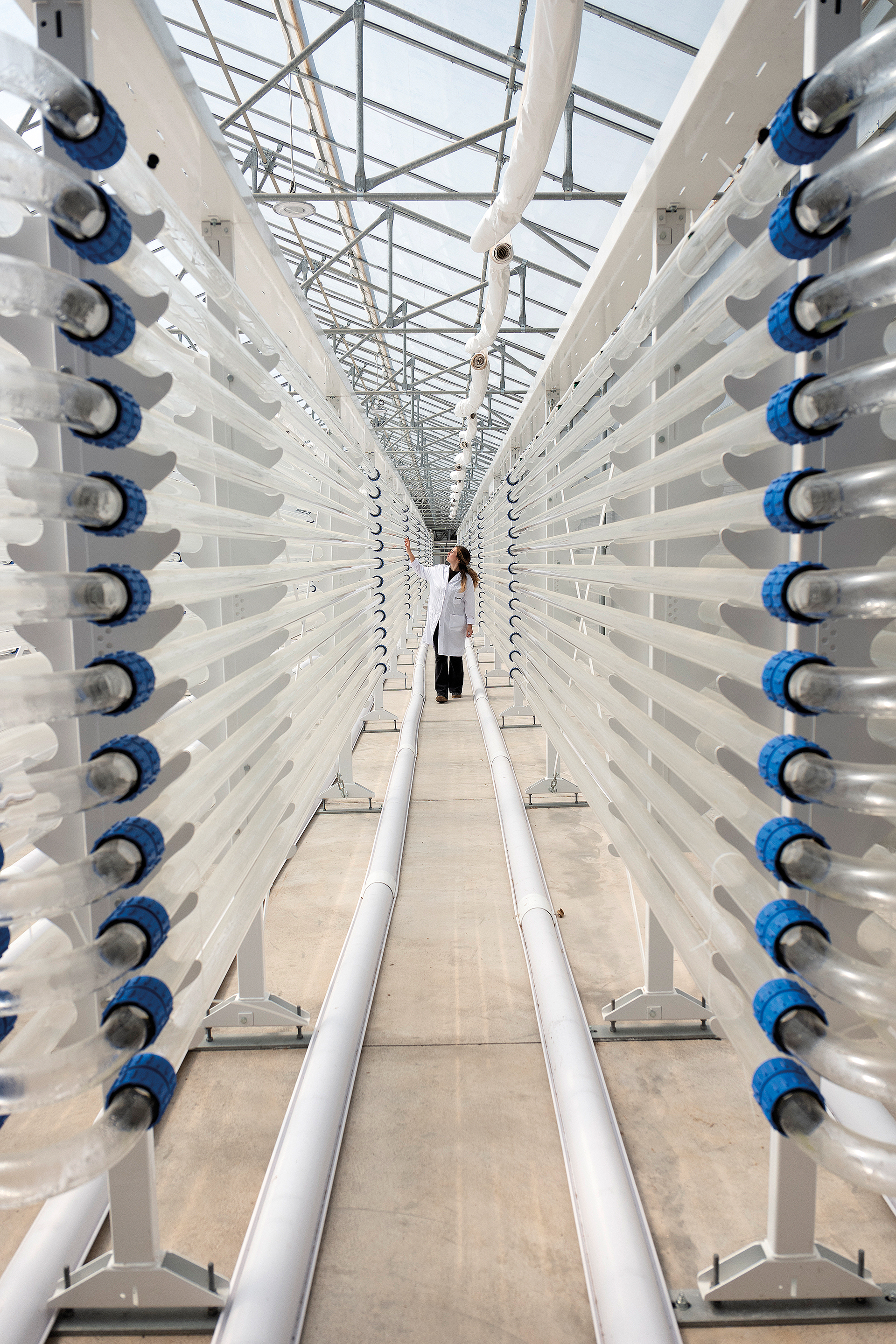 Μπορούν τα φύκια να σώσουν τον κόσμο;-2