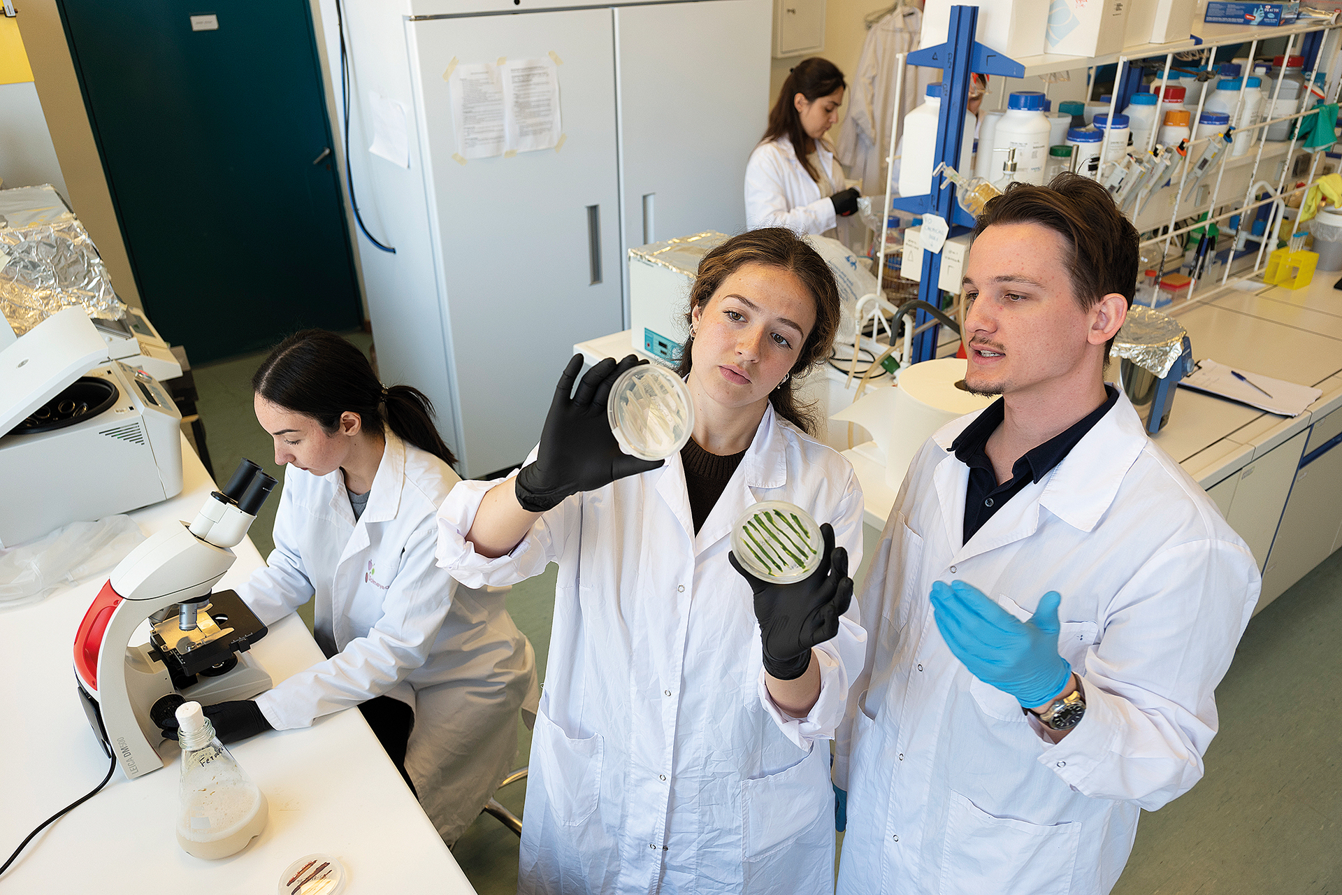 Μπορούν τα φύκια να σώσουν τον κόσμο;-3