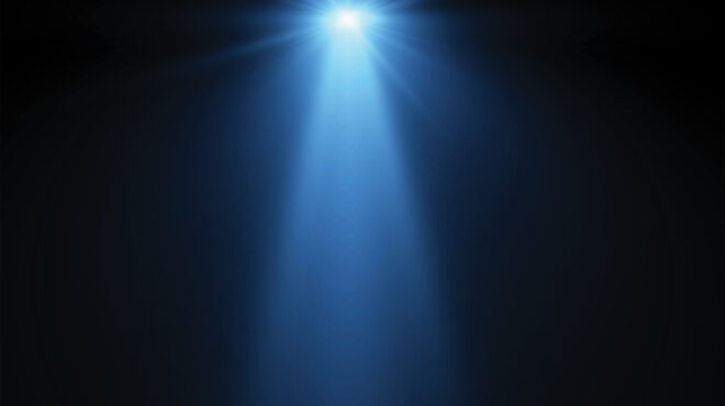 μια-νύχτα-στο-δάσος-563583400