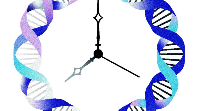 το-τεστ-που-δείχνει-την-αληθινή-ηλικία-563561140