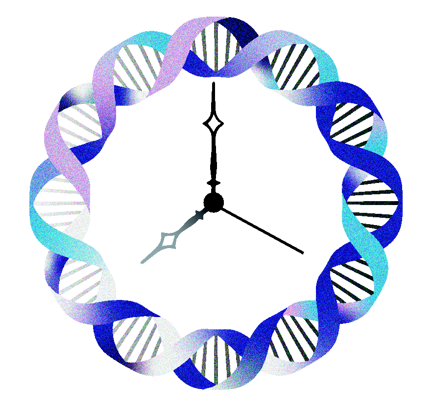 το-τεστ-που-δείχνει-την-αληθινή-ηλικία-563561140