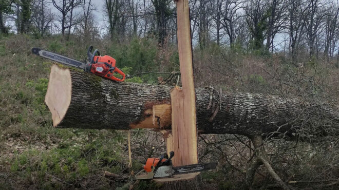 θεσσαλονίκη-στη-φυλακή-35χρονος-για-παρ-563553412