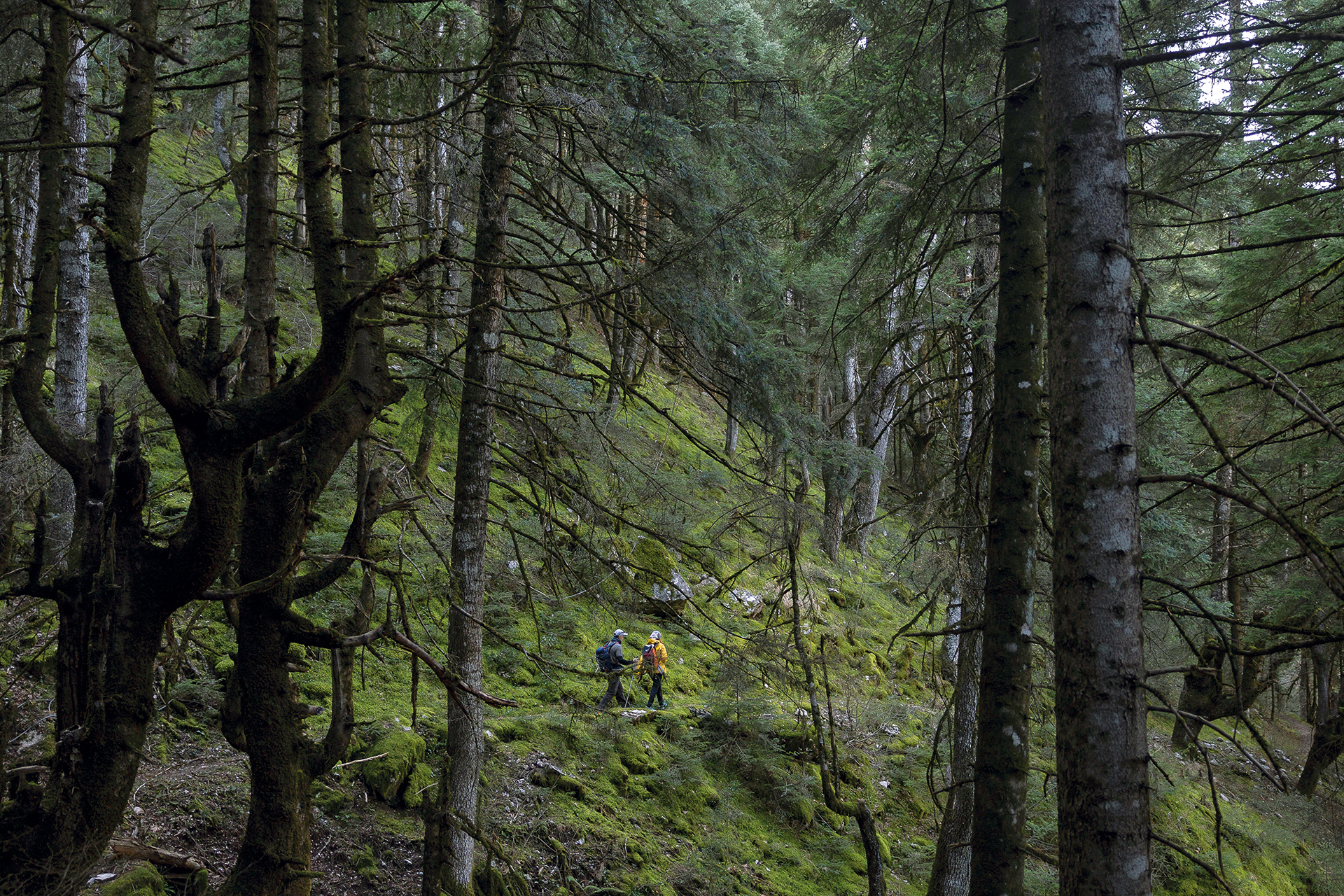 Πώς η Πίνδος ετοιμάζεται να κάνει το «θαύμα» της-1