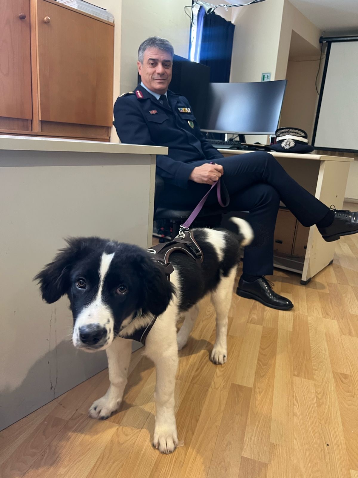 Στο πεδίο με την πρώτη Αστυνομία Ζώων-7