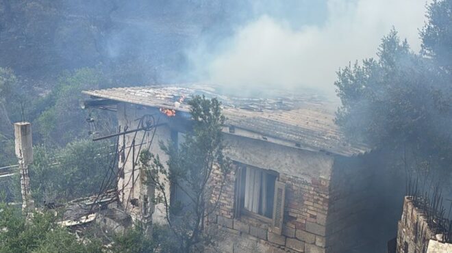 μικρή-αναζωπύρωση-στην-κερατέα-στις-563586091