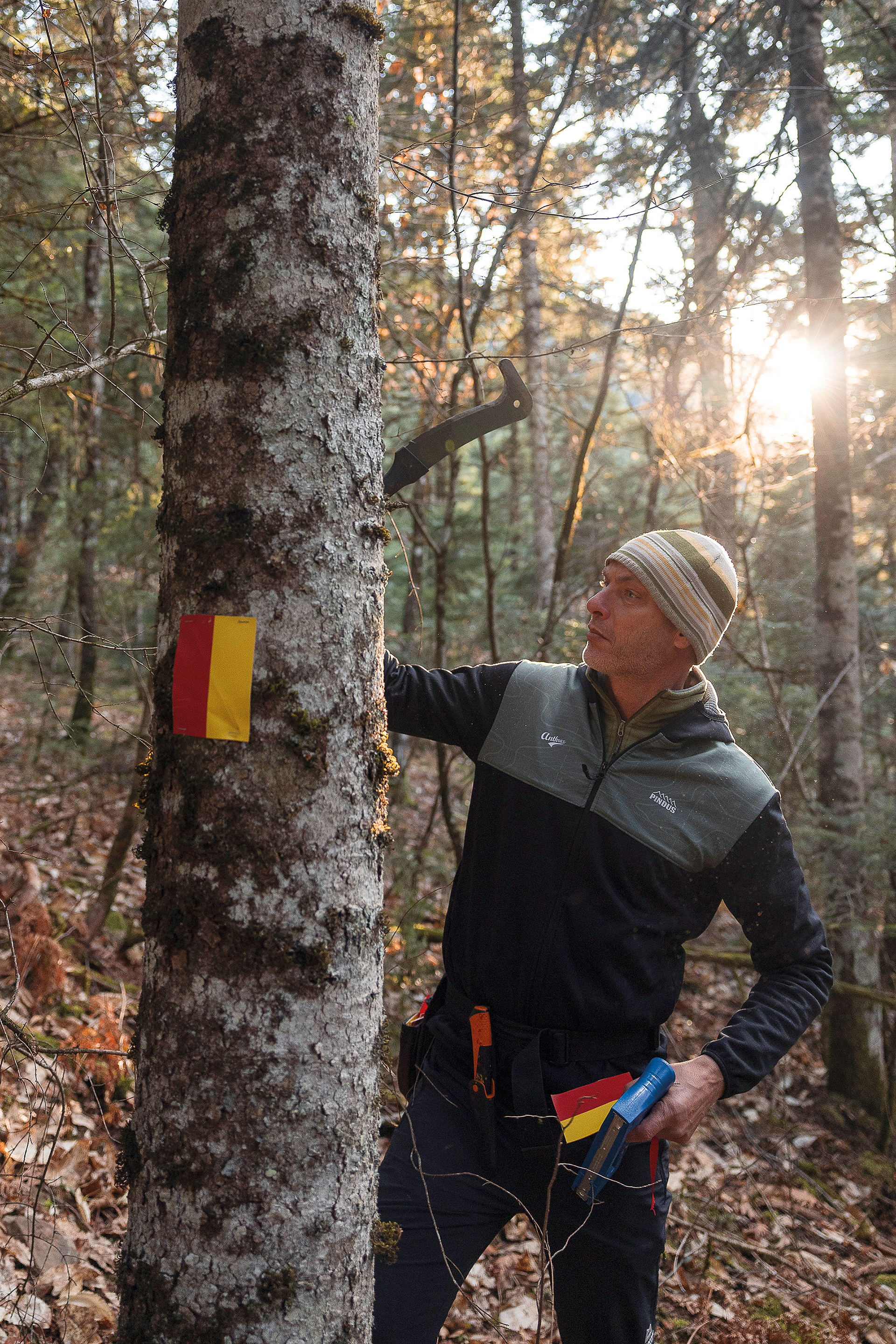 Πώς η Πίνδος ετοιμάζεται να κάνει το «θαύμα» της-11