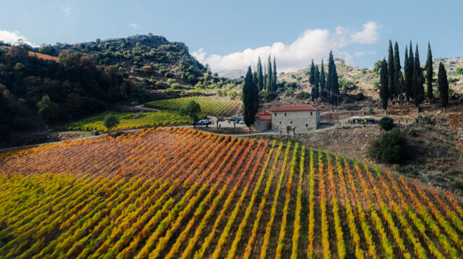 κτήμα-μέγα-σπήλαιο-ο-αμπελώνας-στο-φαρ-563543104