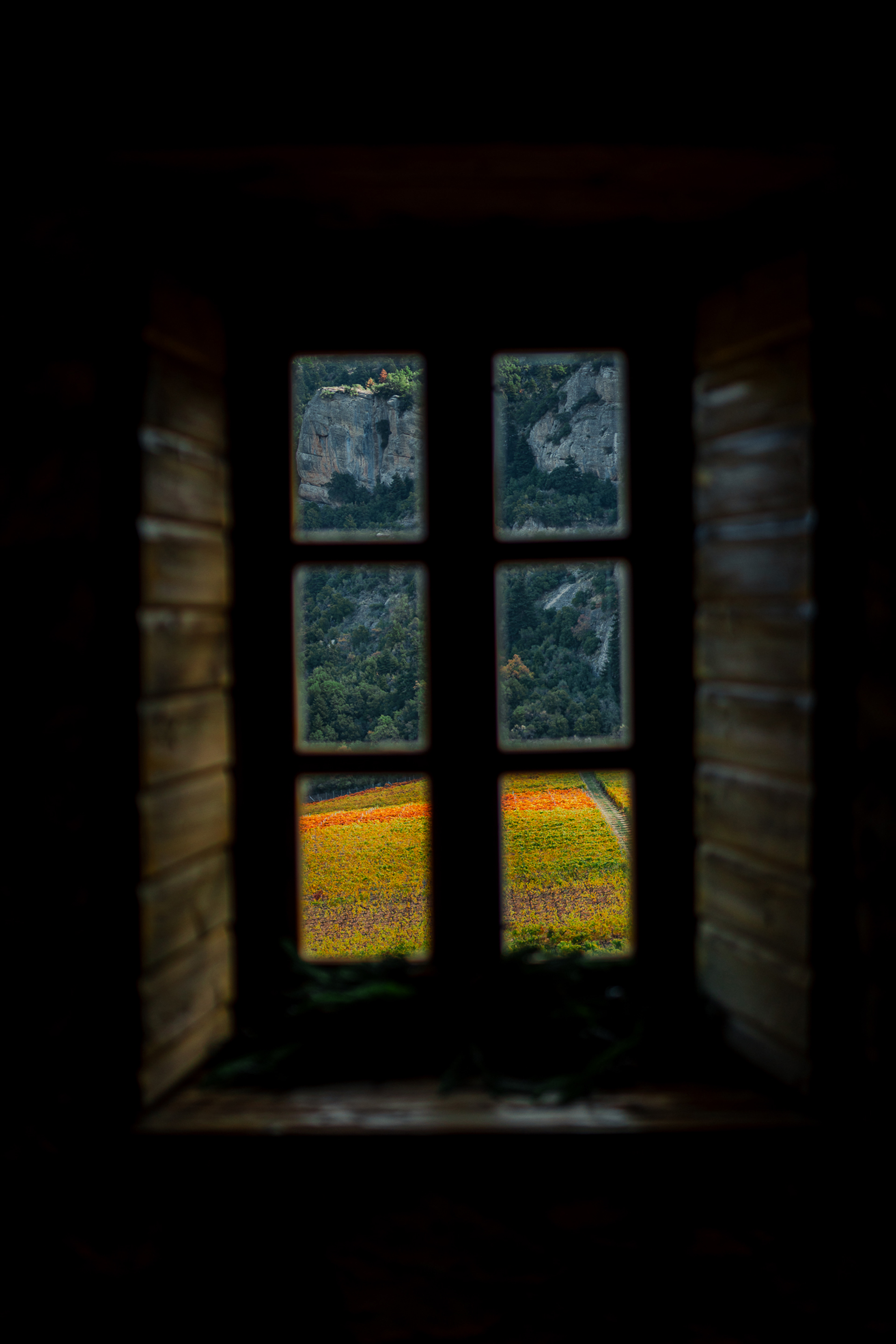 Κτήμα Μέγα Σπήλαιο: Ο αμπελώνας στο φαράγγι-1