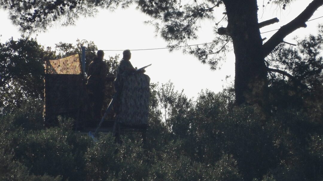 η-εαρινή-σύναξη-των-λαθροθηρών-563583769