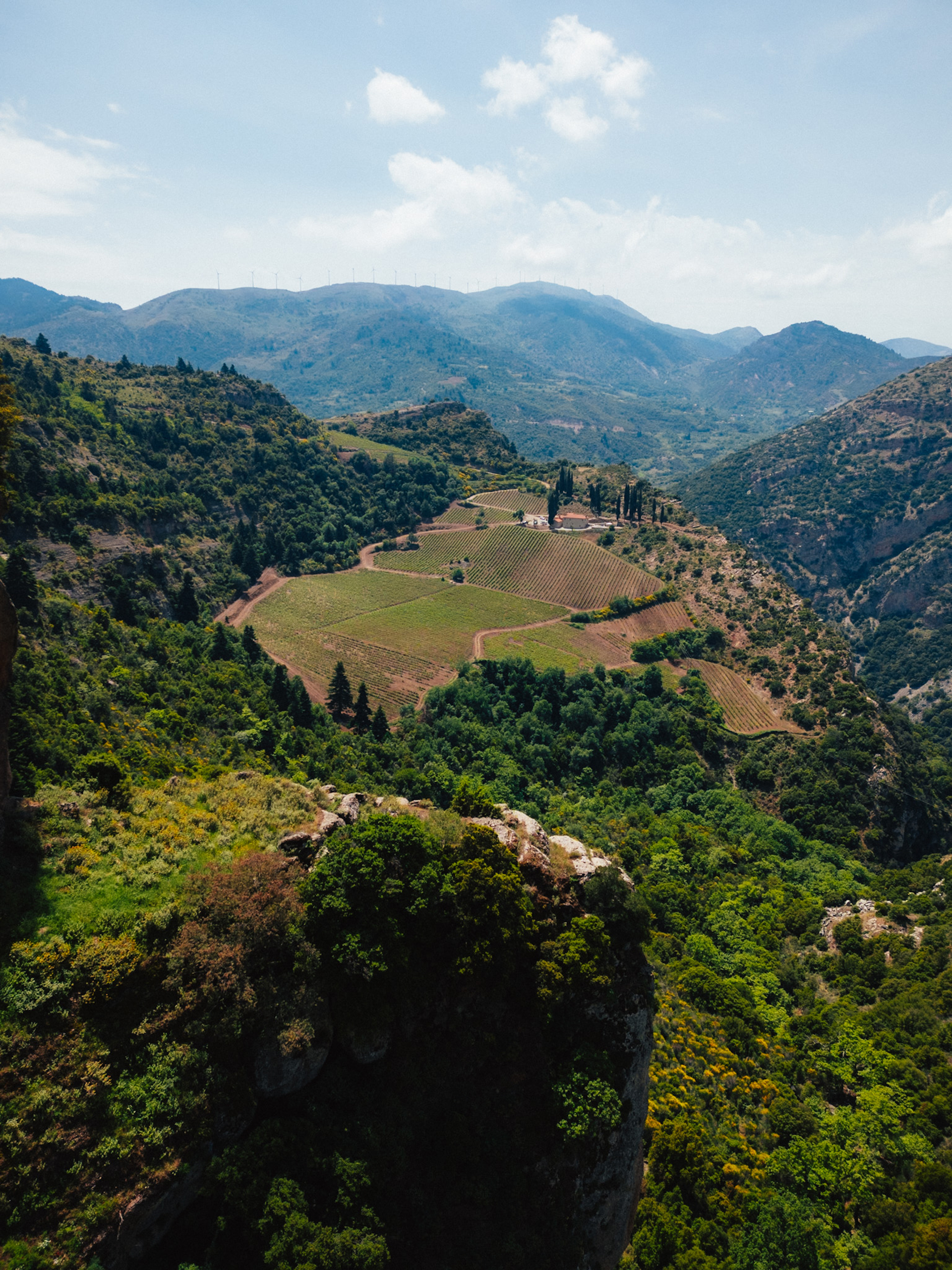 Κτήμα Μέγα Σπήλαιο: Ο αμπελώνας στο φαράγγι-2