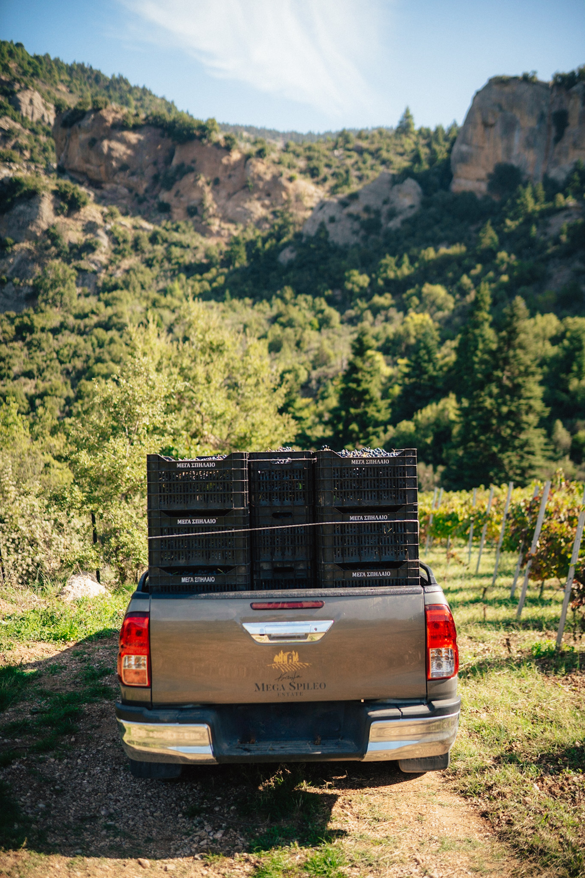 Κτήμα Μέγα Σπήλαιο: Ο αμπελώνας στο φαράγγι-5