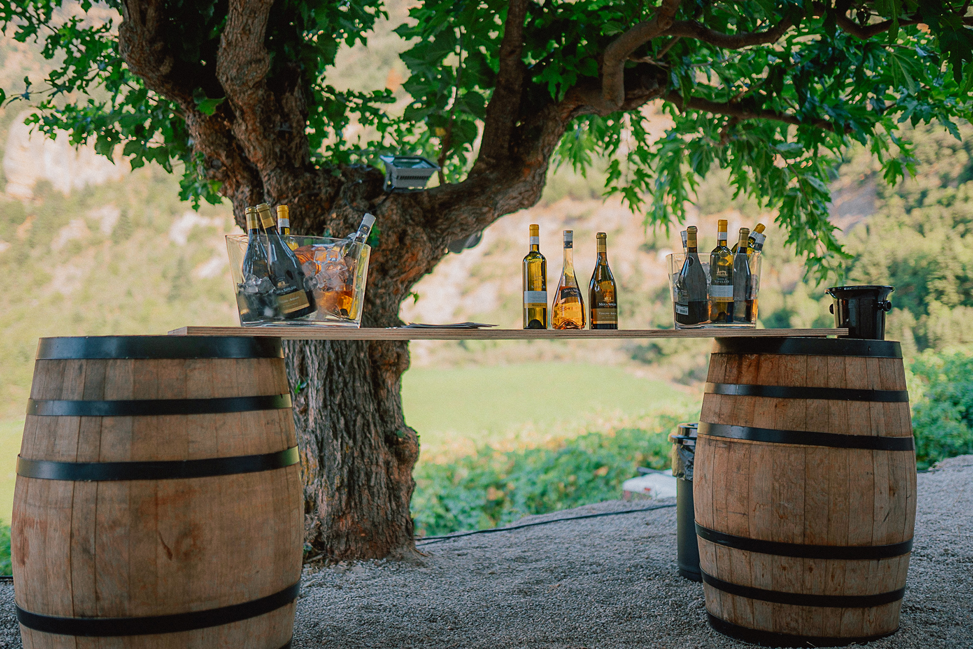 Κτήμα Μέγα Σπήλαιο: Ο αμπελώνας στο φαράγγι-6