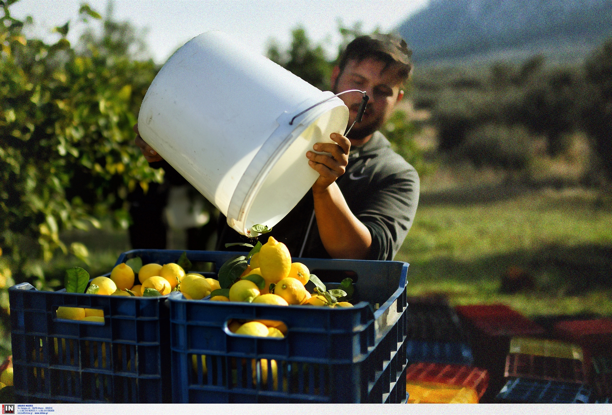 θέλουμε-μόνο-αυτούς-που-θα-επιλέγουμ-563550463