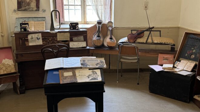 ο-μικρόκοσμος-των-ουρσουλινών-διατηρ-563568490