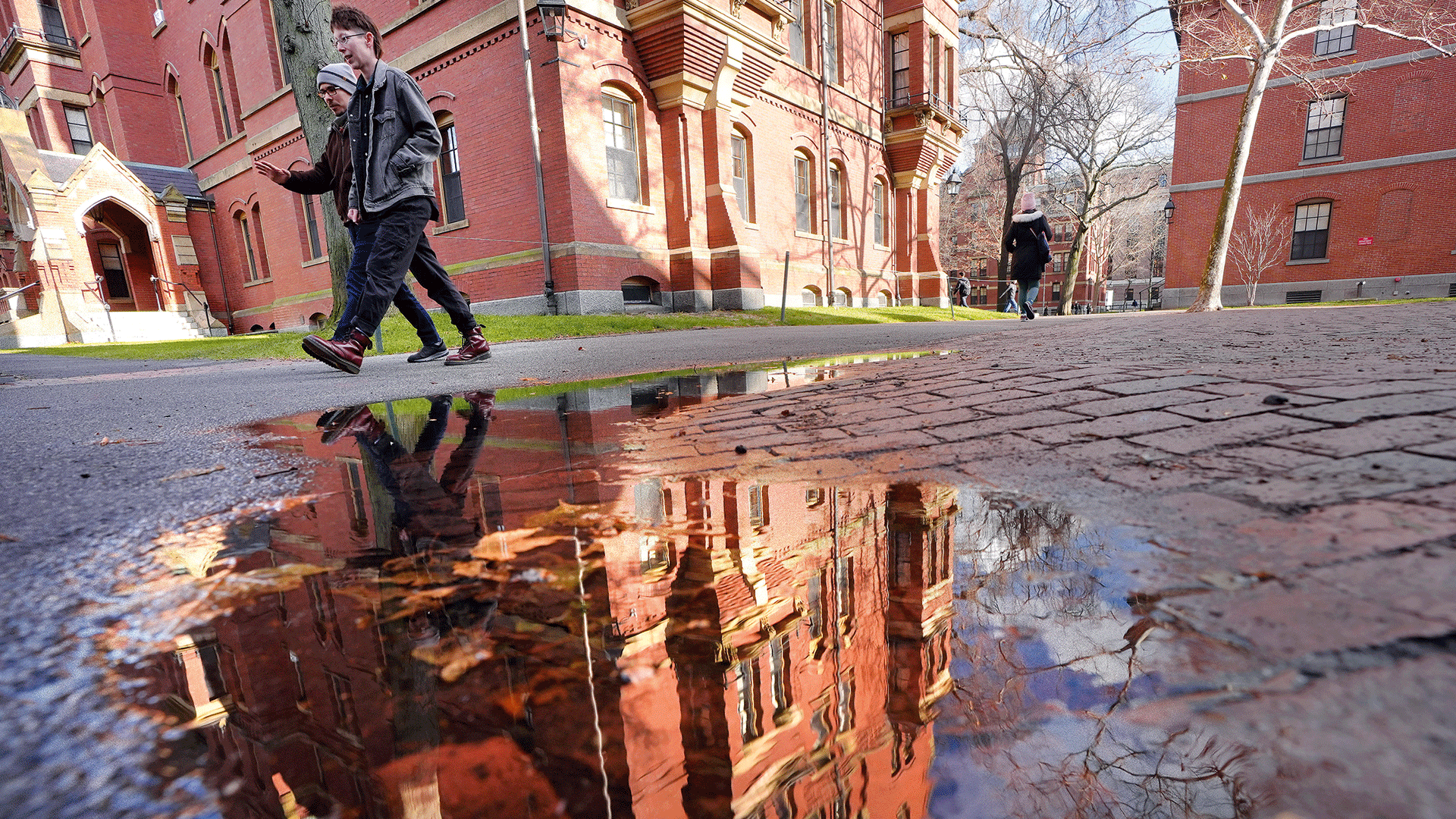 ηπα-μπορεί-το-dark-woke-να-σώσει-τους-δημοκρ-563572303