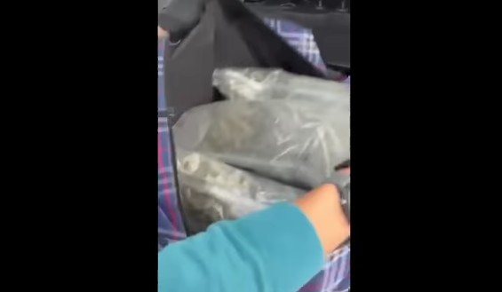 κιλκίς-χειροπέδες-σε-άνδρα-που-μετέφε-563562655