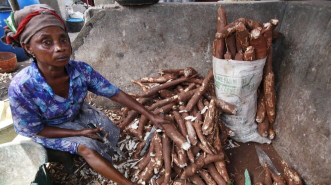 μεσογειακή-ή-σκανδιναβική-διατροφή-υ-563572984