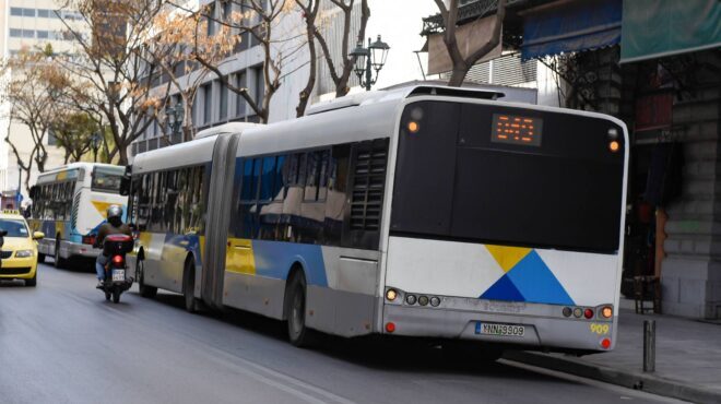 περιστέρι-λεωφορείο-συγκρούστηκε-με-563584177
