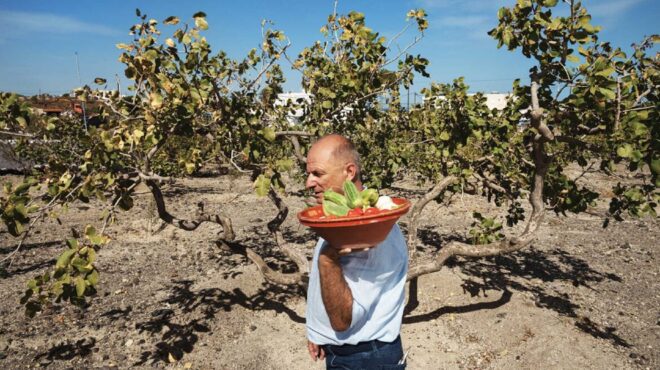 γιάννης-νομικός-ο-καλλιεργητής-που-δι-563573737