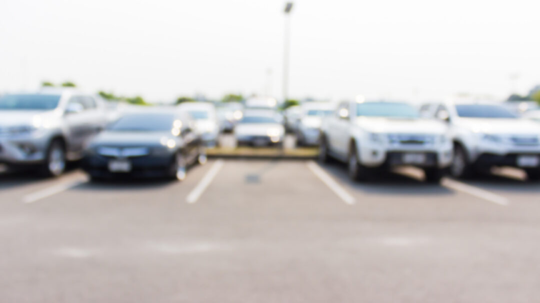 σαφάρι-στην-αθήνα-για-να-βρω-το-κλεμμ-563569612