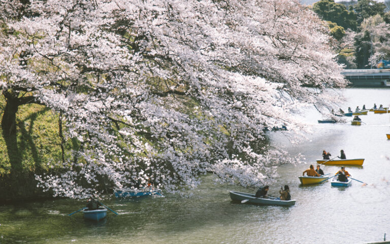 Τακαάκι Νεμότο στην «Κ»: «Οταν είδα τις ανθισμένες κερασιές της Πέλλας συγκινήθηκα»-5