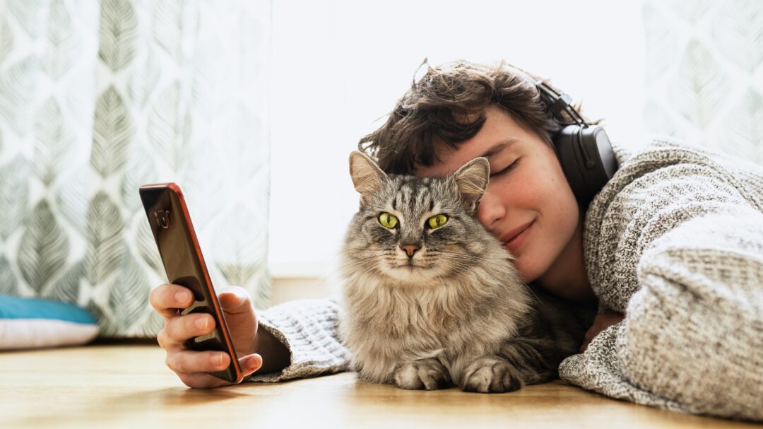 νέα-έρευνα-τα-κατοικίδια-βελτιώνουν-τ-563558992