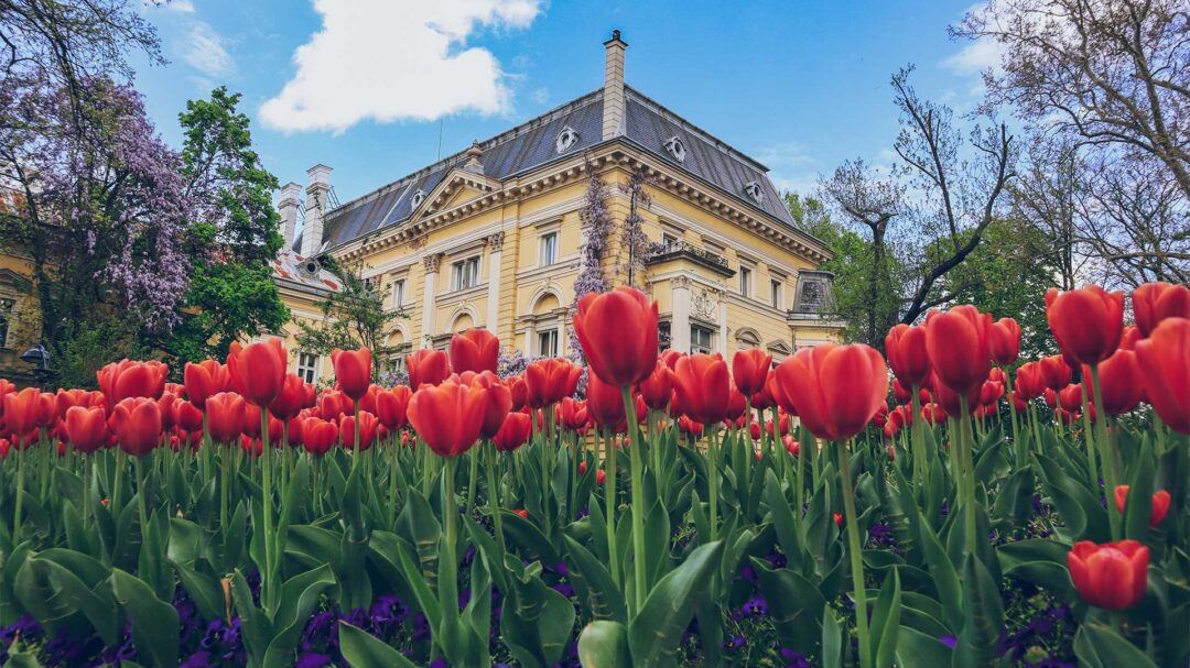 σόφια-7-συναρπαστικά-μουσεία-για-την-ατ-563565469