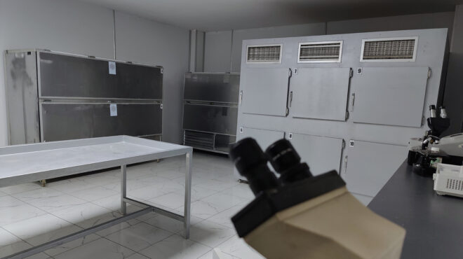 πες-πόσα-λεφτά-θέλετε-αποκαλυπτι-563554867