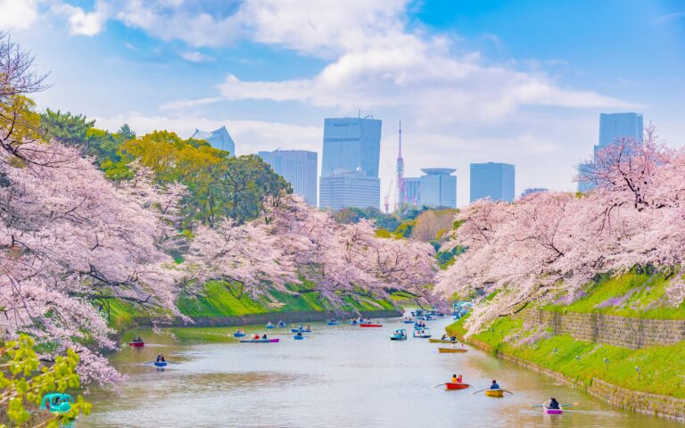 Τακαάκι Νεμότο στην «Κ»: «Οταν είδα τις ανθισμένες κερασιές της Πέλλας συγκινήθηκα»-2