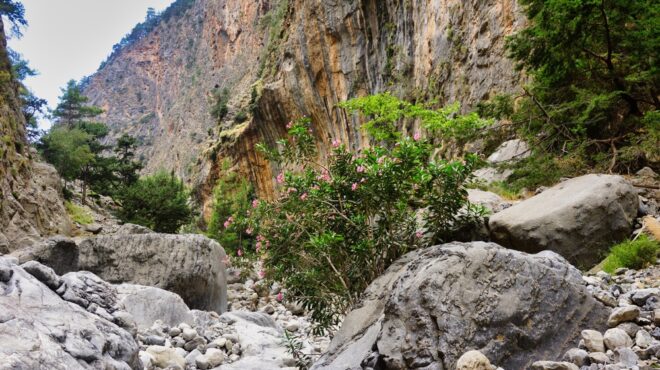 φαράγγι-σαμαριάς-ανδρας-έπεσε-από-ύψο-563574007