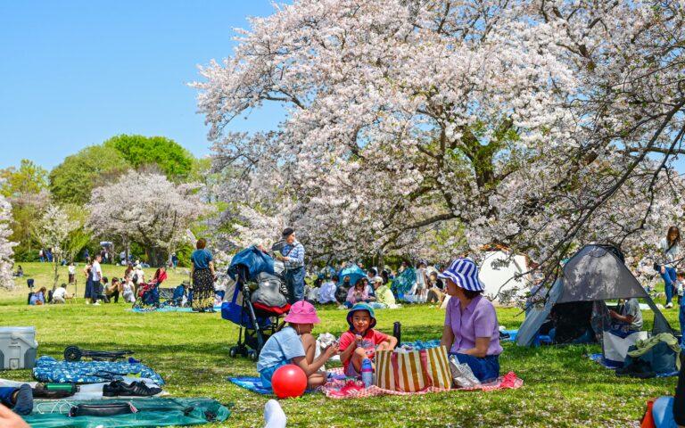 Τακαάκι Νεμότο στην «Κ»: «Οταν είδα τις ανθισμένες κερασιές της Πέλλας συγκινήθηκα»-3