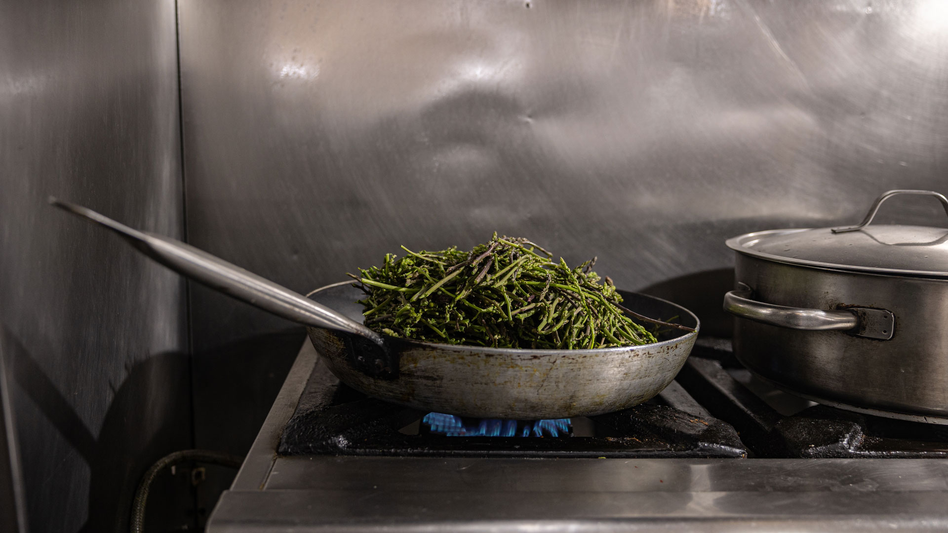 Βγήκαμε στην εξοχή της Αττικής για άγρια σπαράγγια και τα κάναμε μια επική ομελέτα στον γάστρο-2