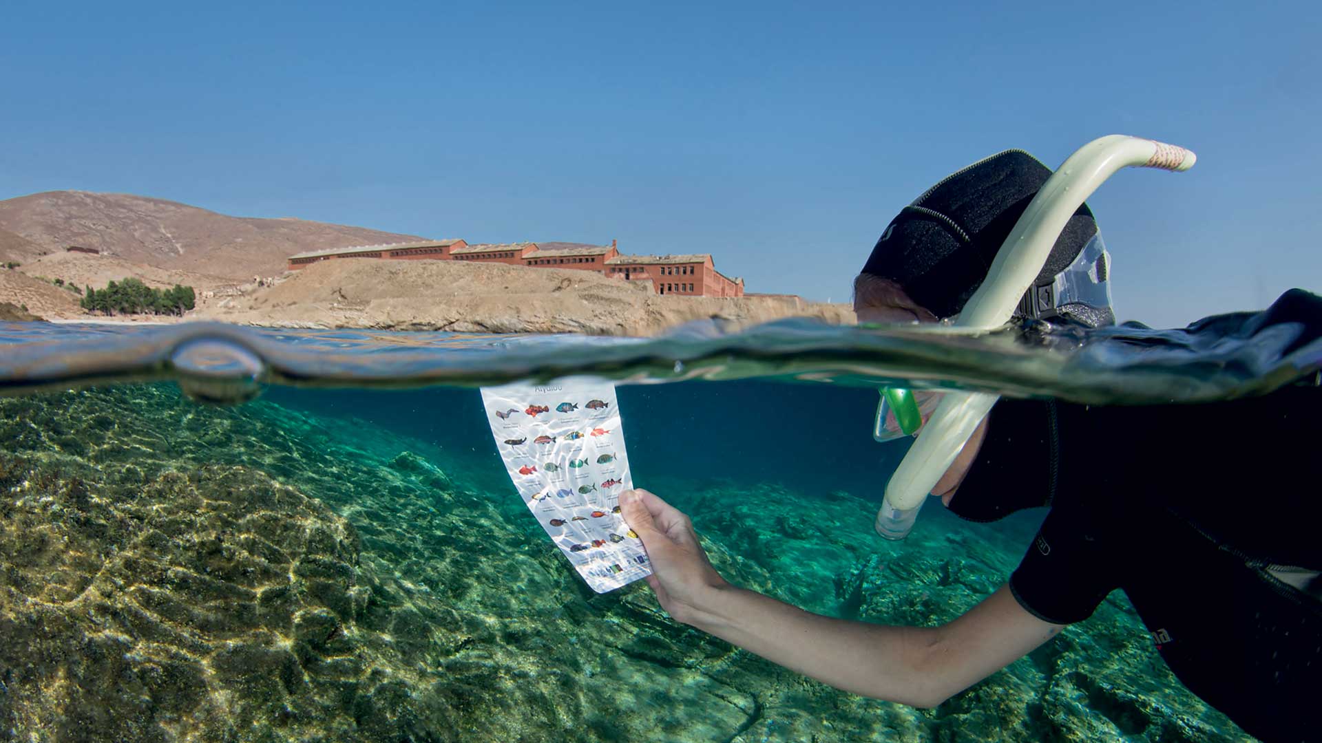 Γυάρος: Πεζοπορώντας σε έναν τόπο μνήμης και βιοποικιλότητας-8