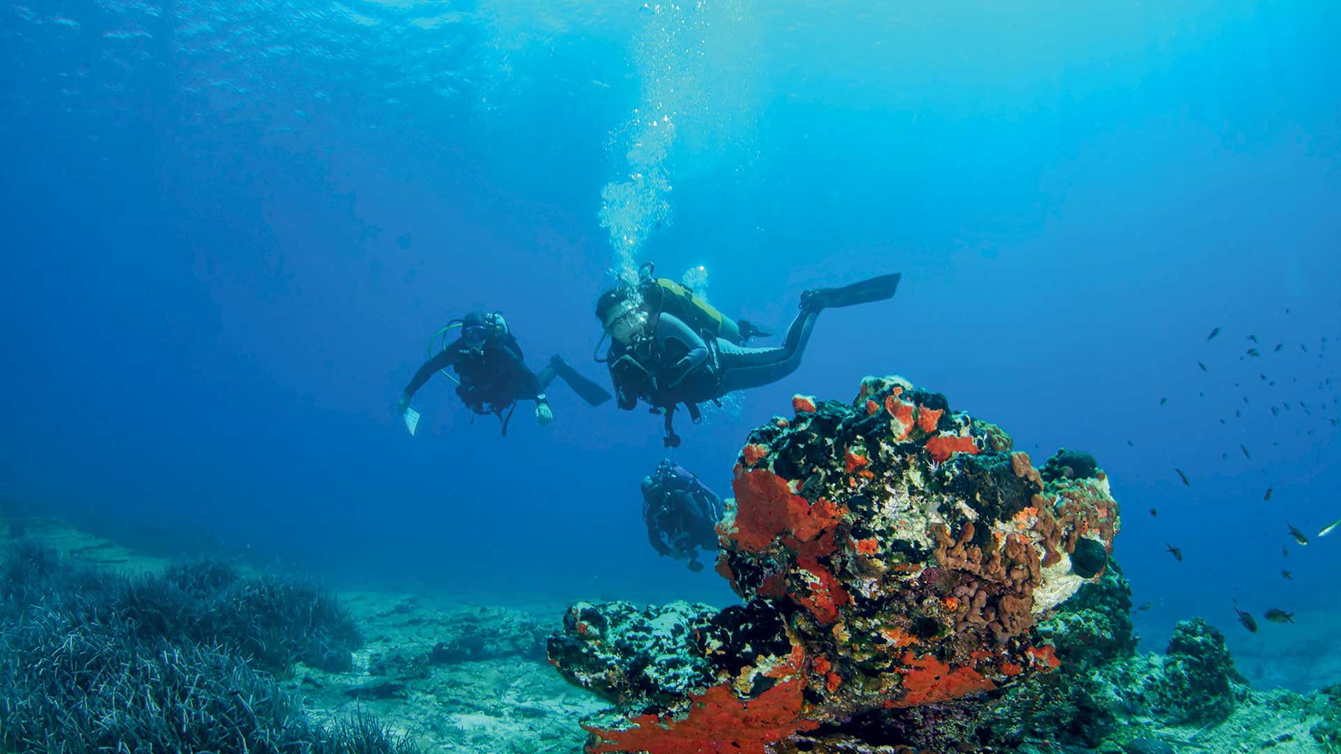 Γυάρος: Πεζοπορώντας σε έναν τόπο μνήμης και βιοποικιλότητας-5