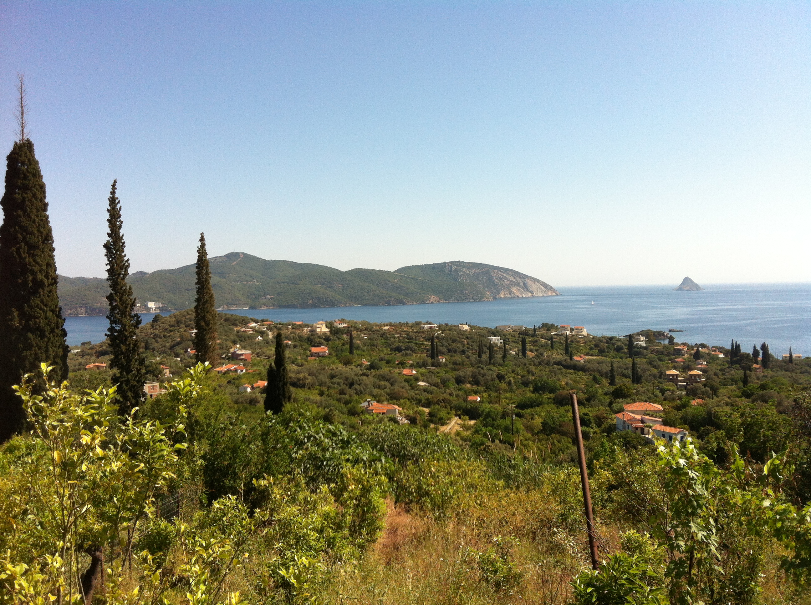 Το λεμονοδάσος του Σεφέρη και της Γκρέτα Γκάρμπο, λίγο πριν το τέλος-6