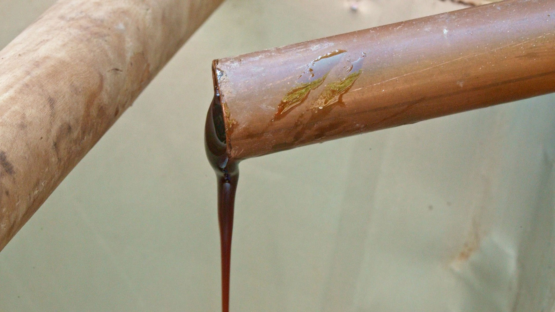 Από τη δαντέλα έως το λατίνι: 4 παραδόσεις στο Εθνικό Ευρετήριο Αυλης Πολιτιστικής Κληρονομιάς-3