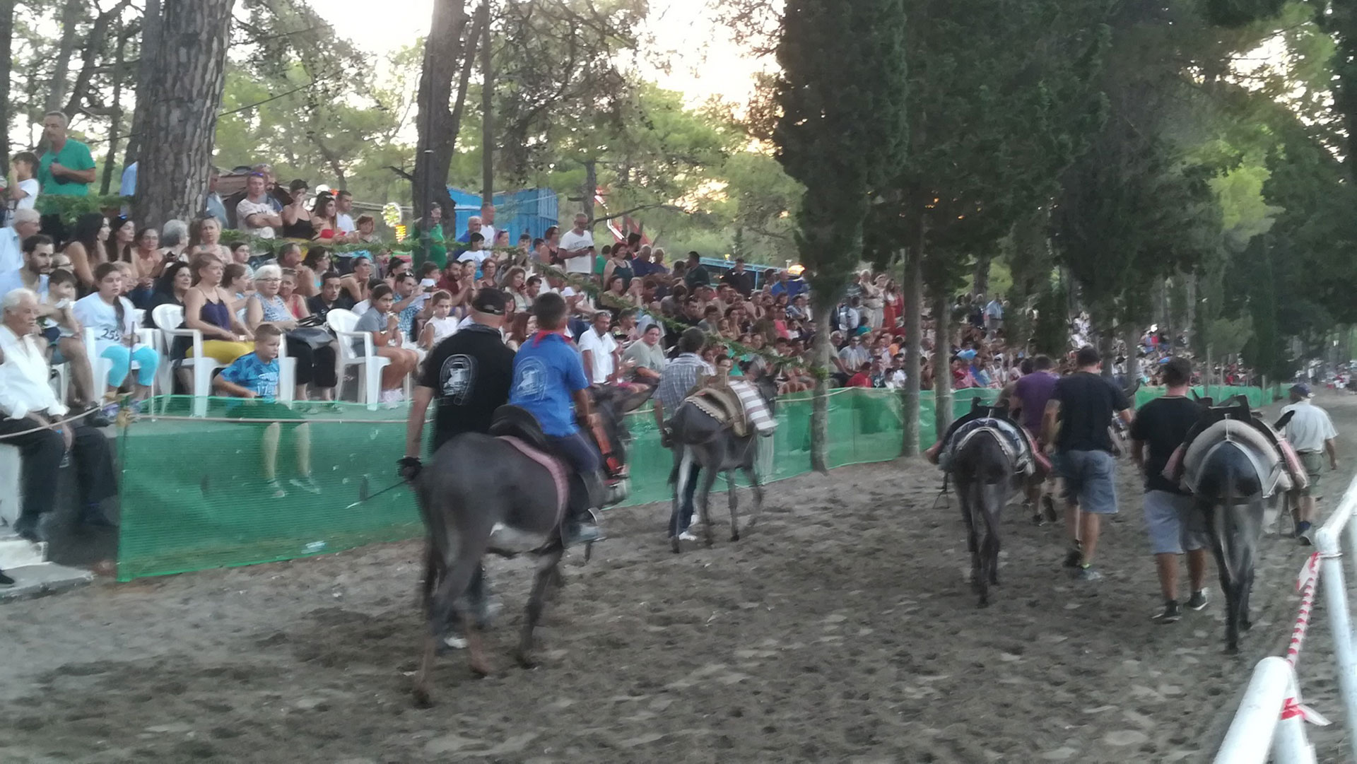 Από τη δαντέλα έως το λατίνι: 4 παραδόσεις στο Εθνικό Ευρετήριο Αυλης Πολιτιστικής Κληρονομιάς-1