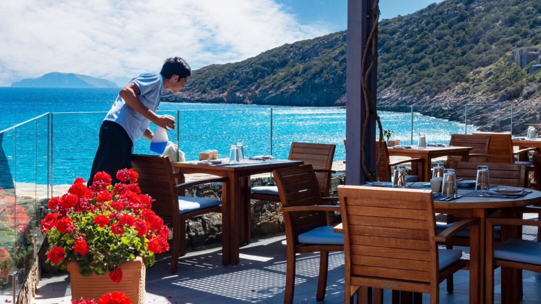 αγορά-εργασίας-στο-κυνήγι-εποχικών-σε-563593549