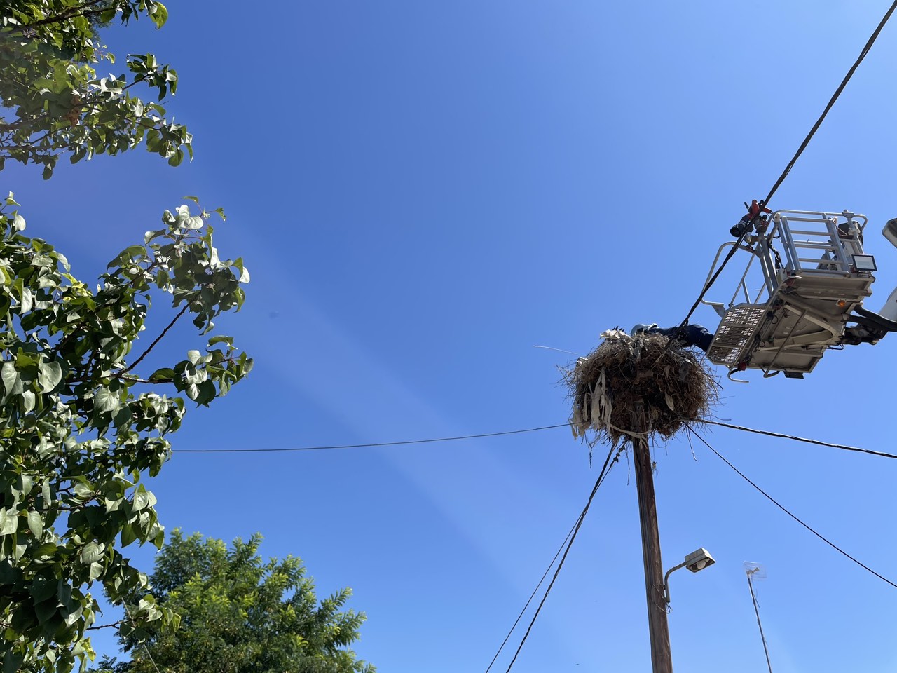 Το χωριό με τους 30 κατοίκους και τους 200 πελαργούς-15