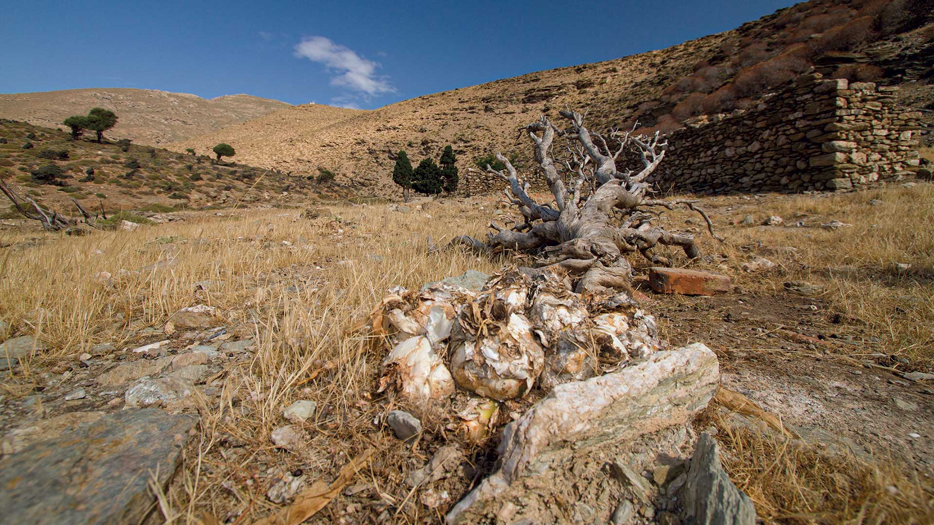 Γυάρος: Πεζοπορώντας σε έναν τόπο μνήμης και βιοποικιλότητας-3