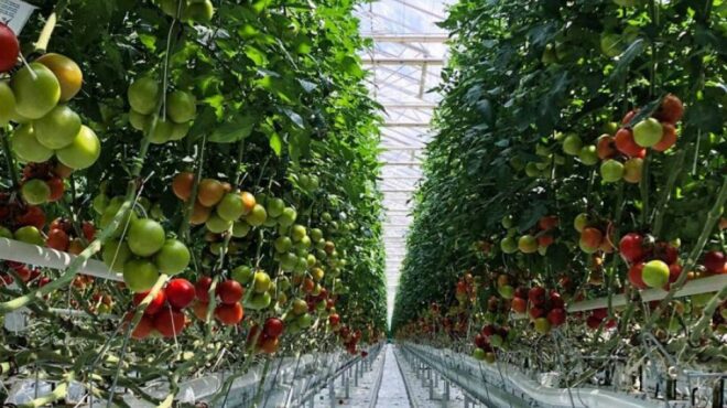 επένδυση-165-εκατ-προωθεί-στην-πτολεμαΐ-563621434