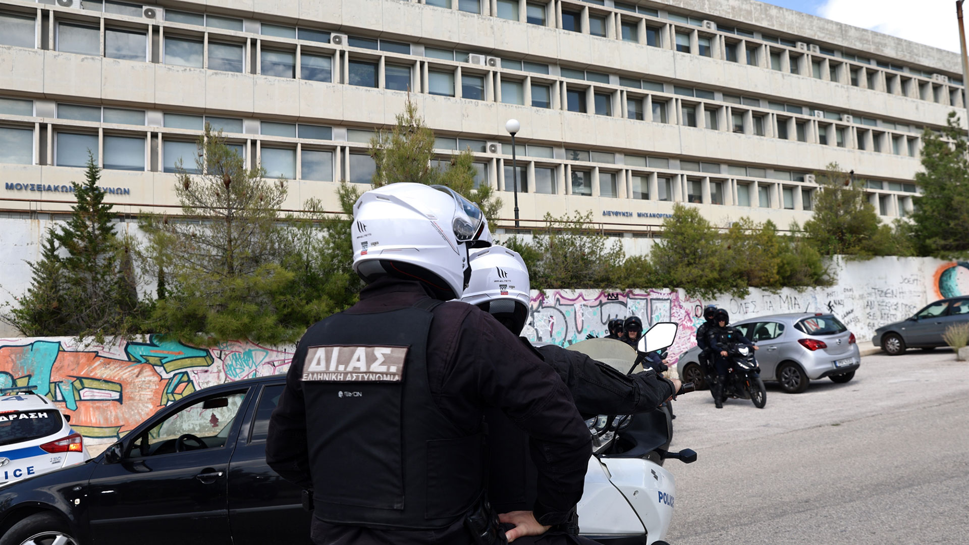 Διδακτορικό ξύλο-1