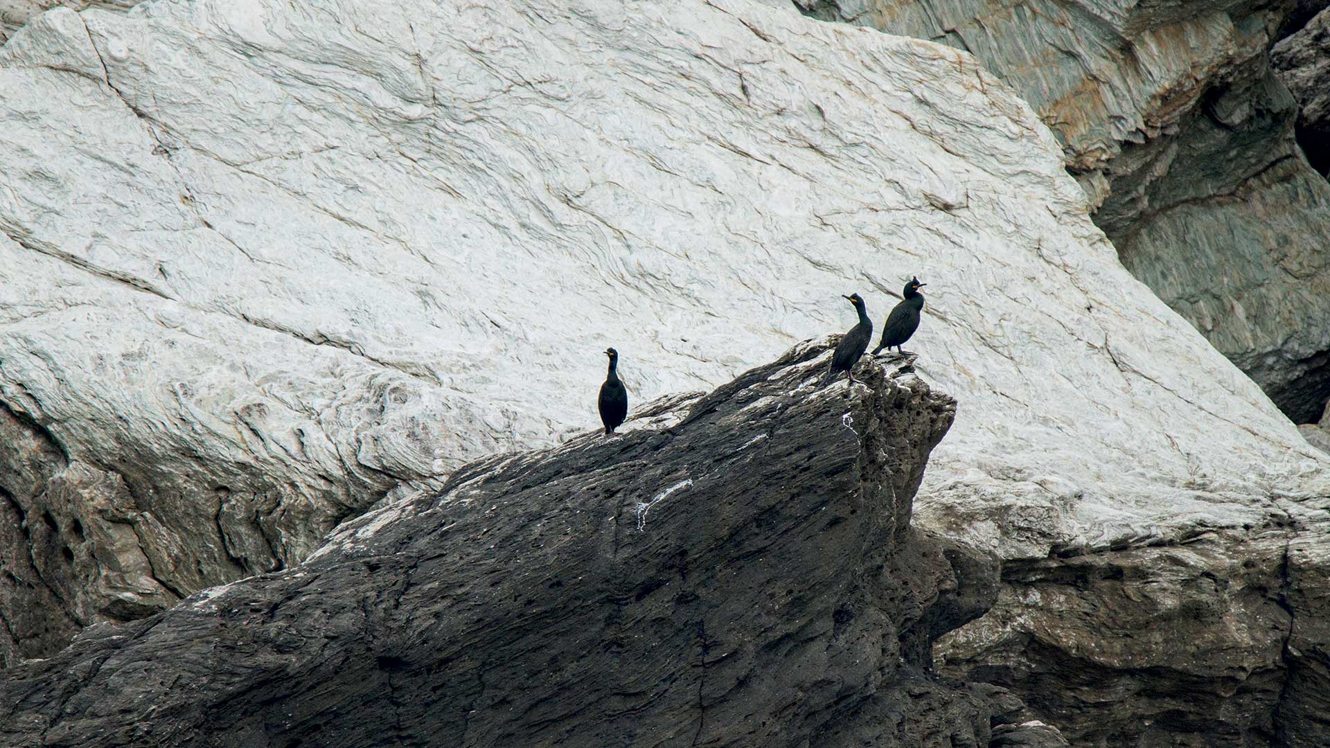 Γυάρος: Πεζοπορώντας σε έναν τόπο μνήμης και βιοποικιλότητας-6