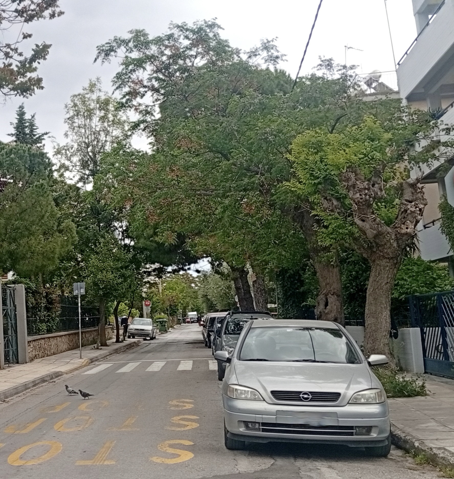 Ο μεγάλος περίπατος στο Χαλάνδρι-5