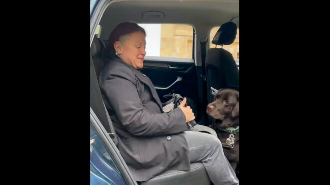 ανοίγοντας-όλες-τις-πόρτες-για-τους-563606221